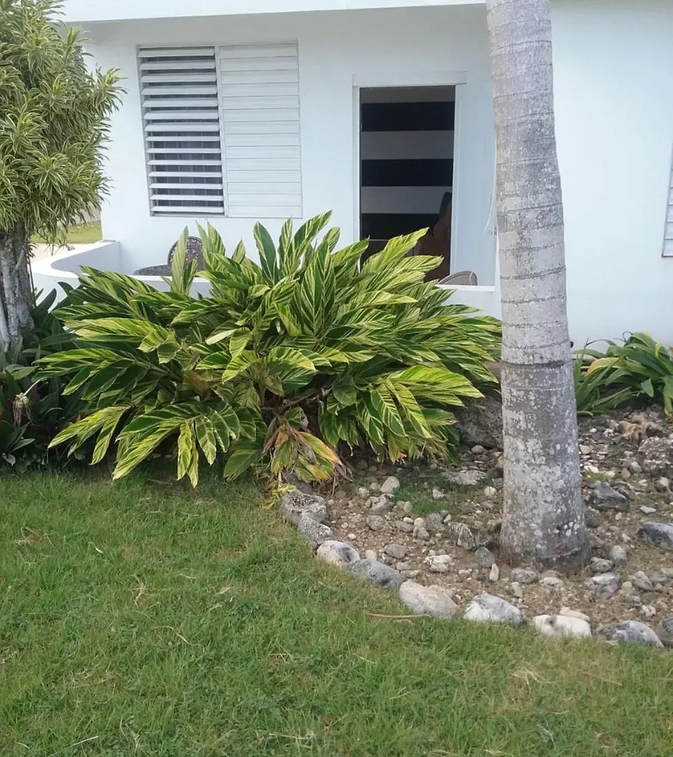 Ocean Dreams Apartment Aguada 0*,